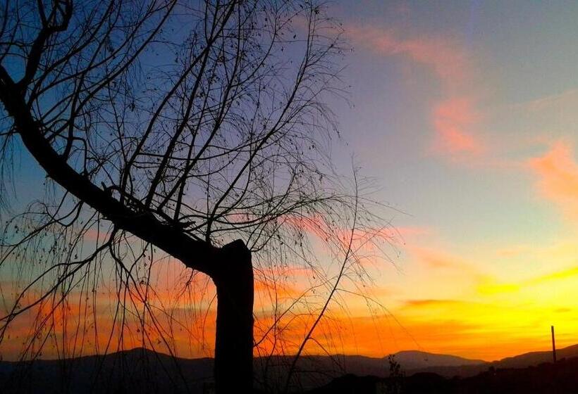 리조트 Camping Alpujarras