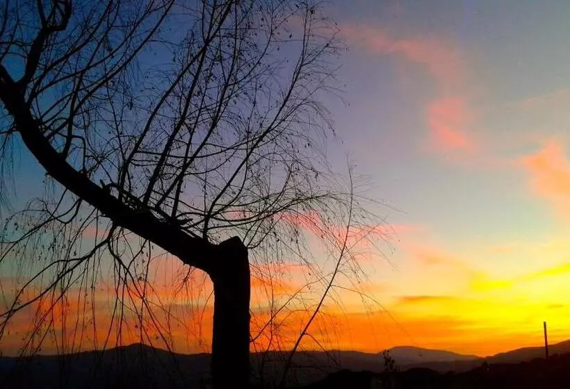 リゾートホテル Camping Alpujarras