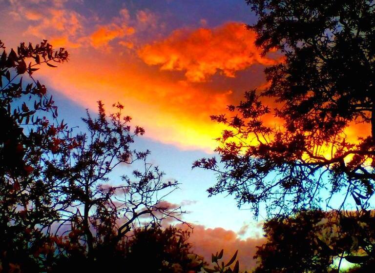 리조트 Camping Alpujarras