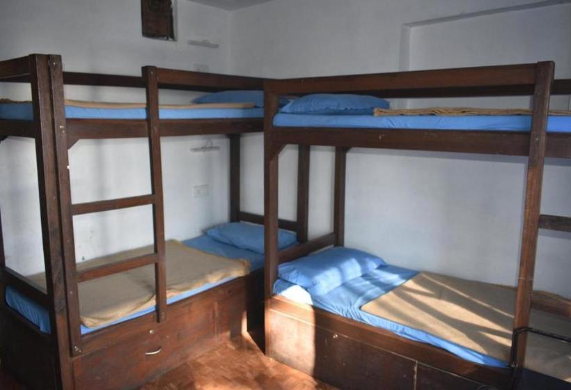 فندق صغير Bunkotel