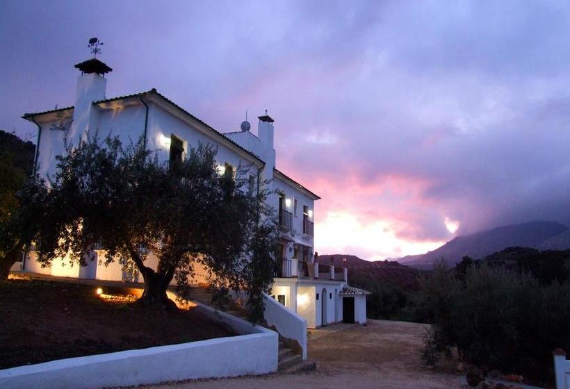 تختخواب و صبحانه Casa Olea Hotel Rural
