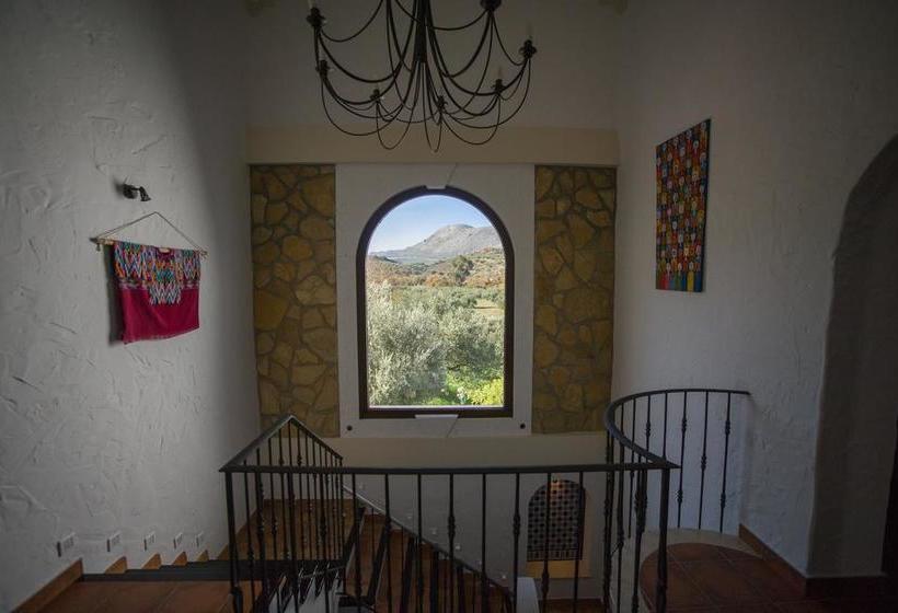 تختخواب و صبحانه Casa Olea Hotel Rural