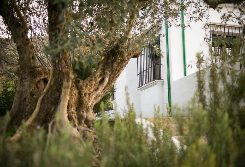 تختخواب و صبحانه Casa Olea Hotel Rural