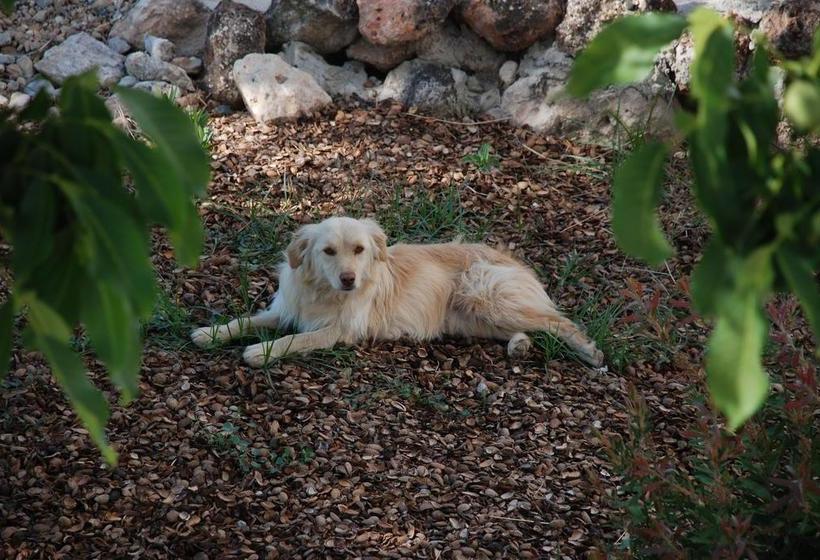 تختخواب و صبحانه Casa Olea Hotel Rural