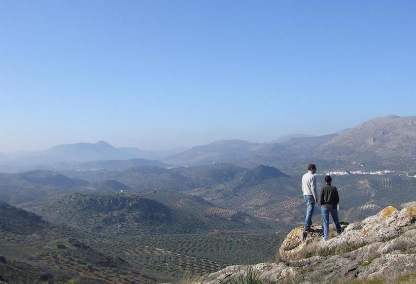 تختخواب و صبحانه Casa Olea Hotel Rural