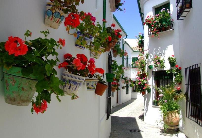 تختخواب و صبحانه Casa Olea Hotel Rural