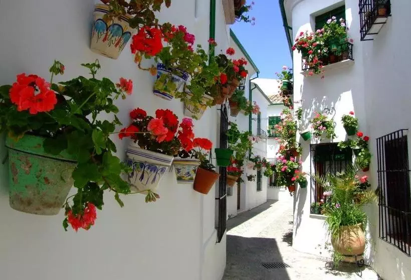 Aamiaismajoitus (B&B) Casa Olea Hotel Rural