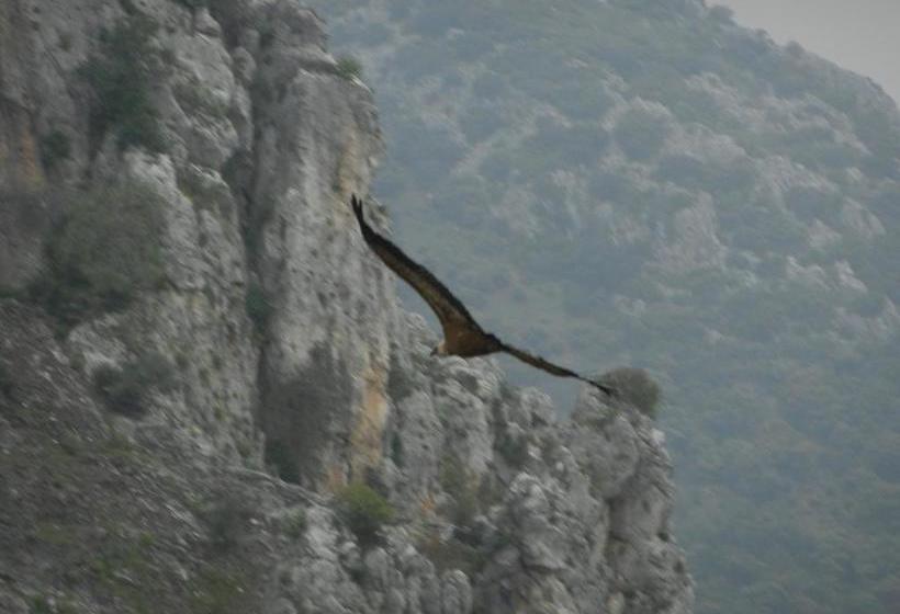 تختخواب و صبحانه Casa Olea Hotel Rural