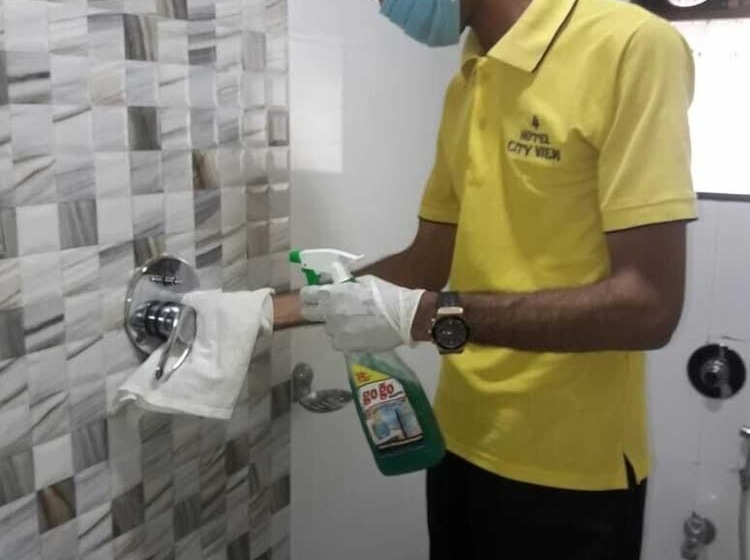 בית מלון כפרי City View