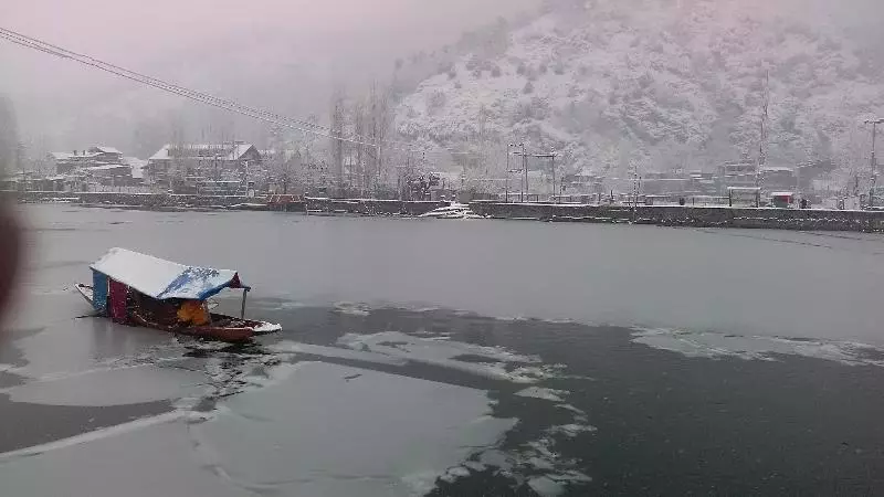 هتل Island Homestay In Dal Lake