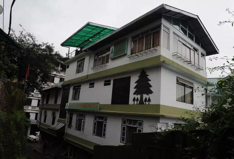 Hotel Juniper Tree