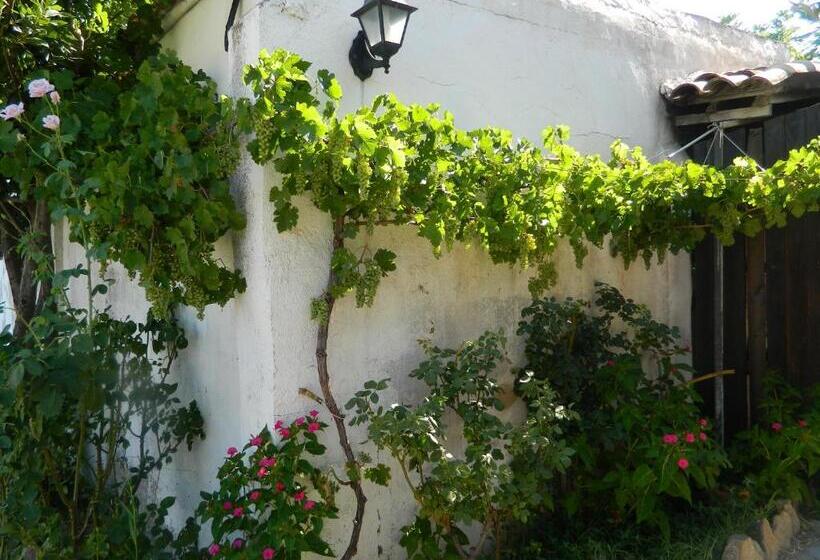 Отель Turó De La Torre