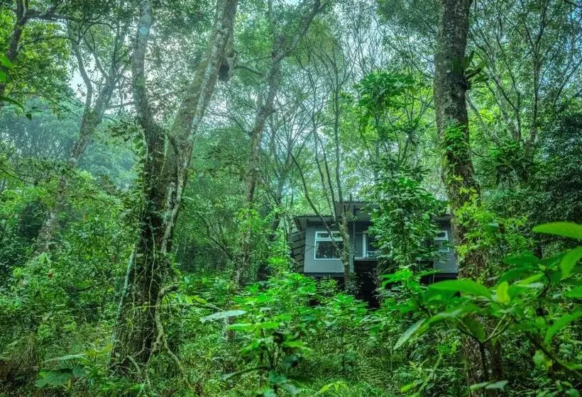 ホテル Wayanad Wild Rainforest Lodge A Cgh Earth Experience