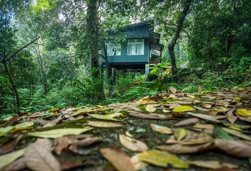 ホテル Wayanad Wild Rainforest Lodge A Cgh Earth Experience
