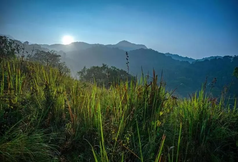 ホテル Wayanad Wild Rainforest Lodge A Cgh Earth Experience