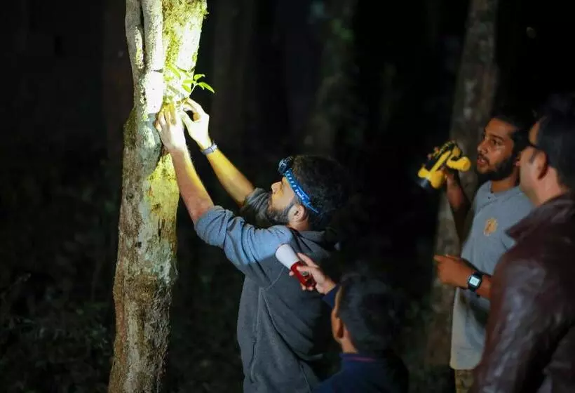 ホテル Wayanad Wild Rainforest Lodge A Cgh Earth Experience