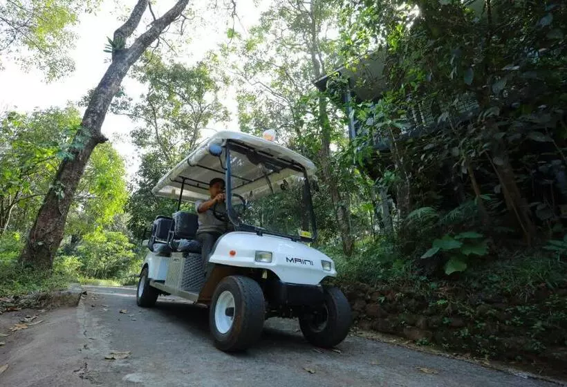 ホテル Wayanad Wild Rainforest Lodge A Cgh Earth Experience