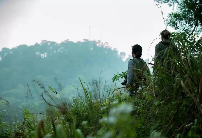ホテル Wayanad Wild Rainforest Lodge A Cgh Earth Experience