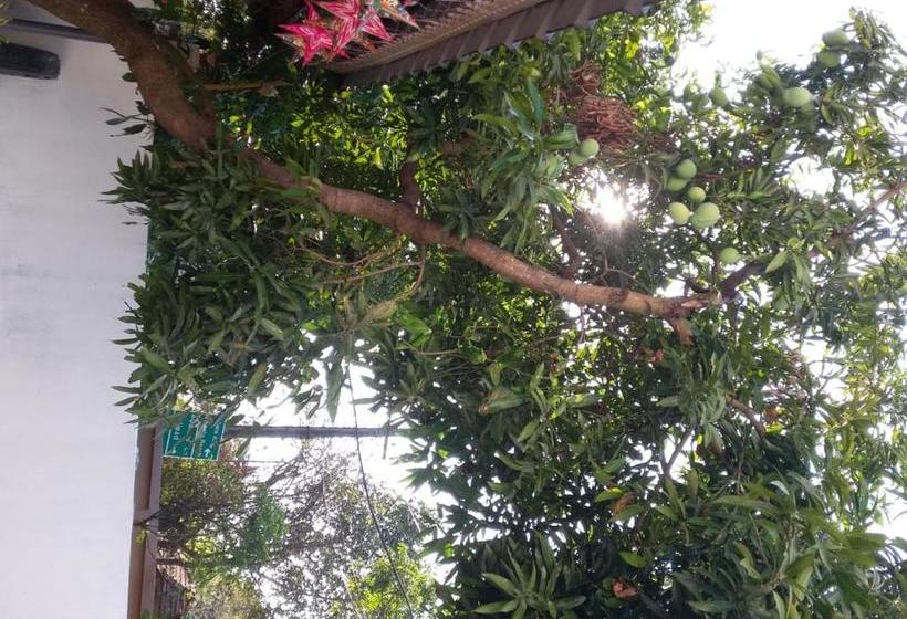 منتجع Pulari Gardens Varkala