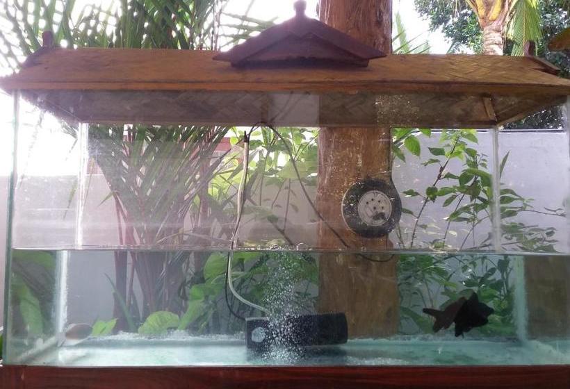 منتجع Pulari Gardens Varkala