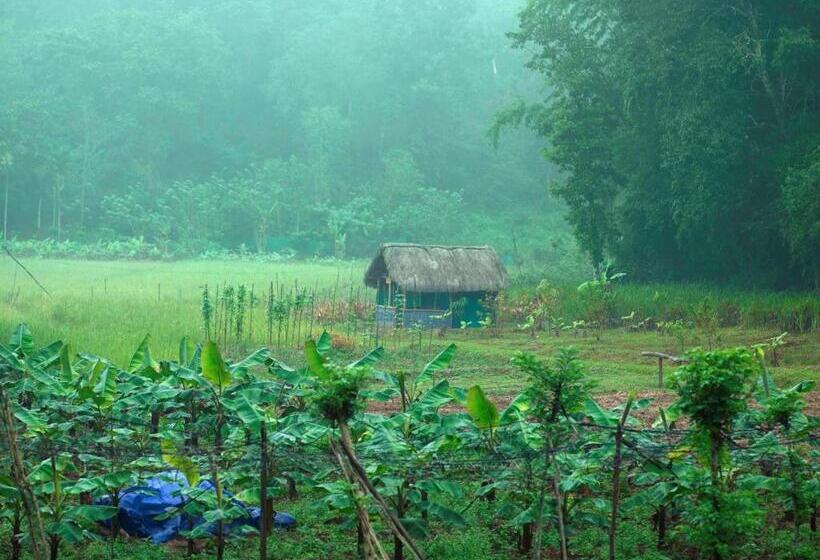 The Woods Resorts Wayanad