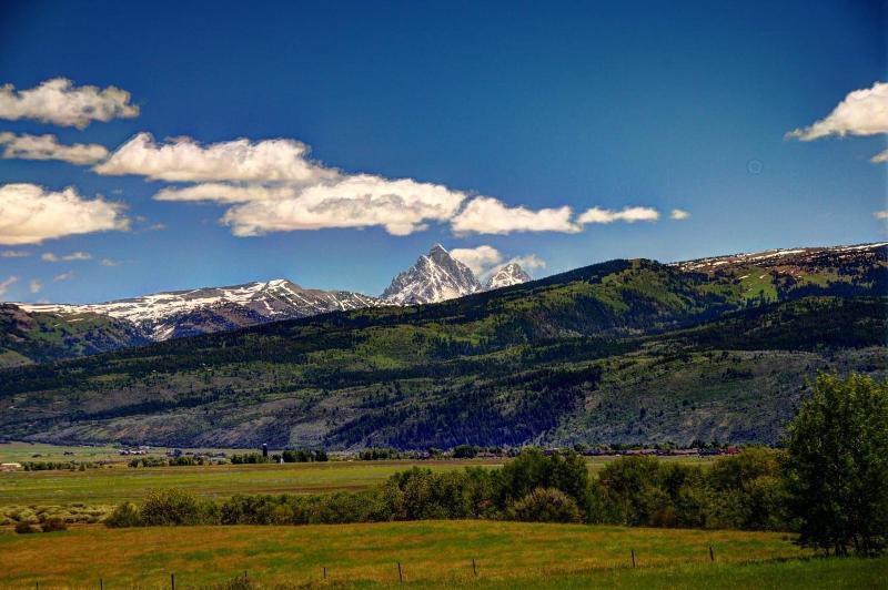 تختخواب و صبحانه Fin And Feather Inn