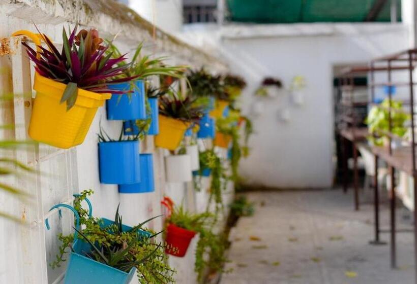 Bhola Bhawan Bed And Breakfast