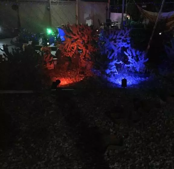 モーテル Safari Motor Inn Joshua Tree