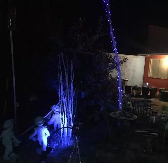 モーテル Safari Motor Inn Joshua Tree
