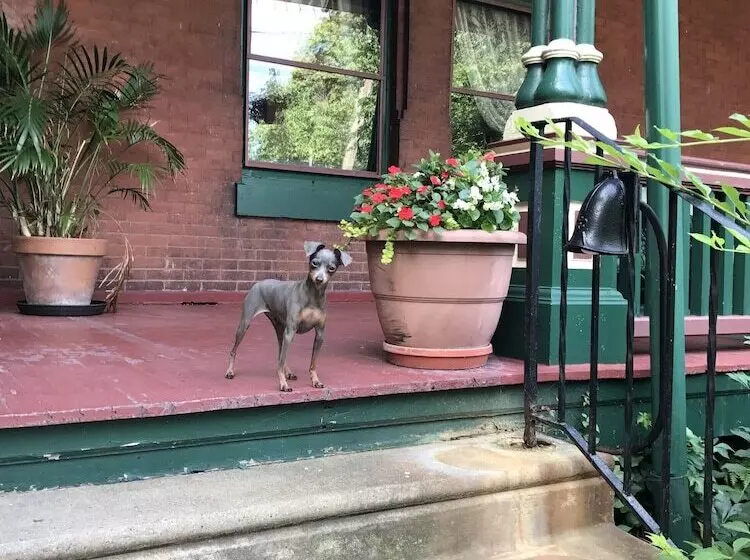 The Gables B&b Philadelphia
