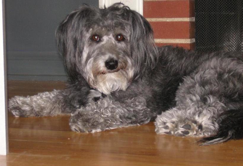 Hopkins Park Bed And Breakfast