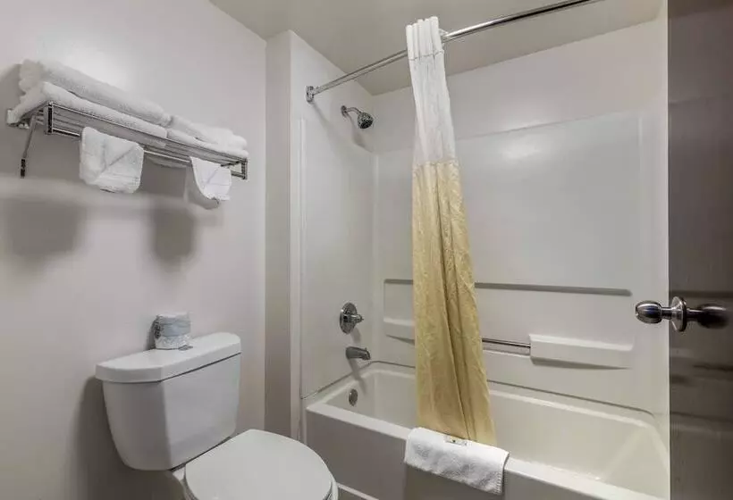 ホテル Quality Inn