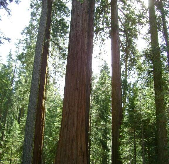 모텔 5th Street Inn