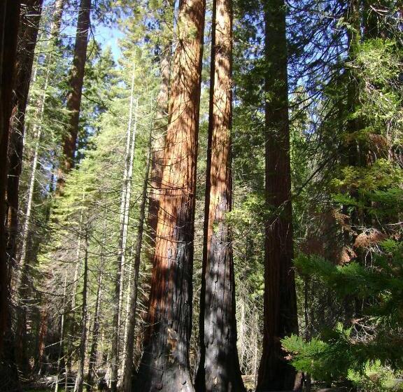 모텔 5th Street Inn