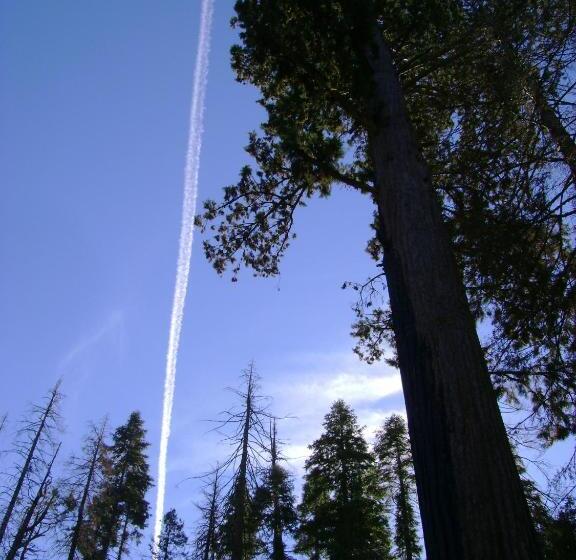 모텔 5th Street Inn