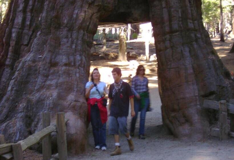 모텔 5th Street Inn