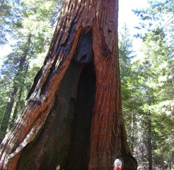 모텔 5th Street Inn