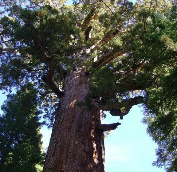 모텔 5th Street Inn