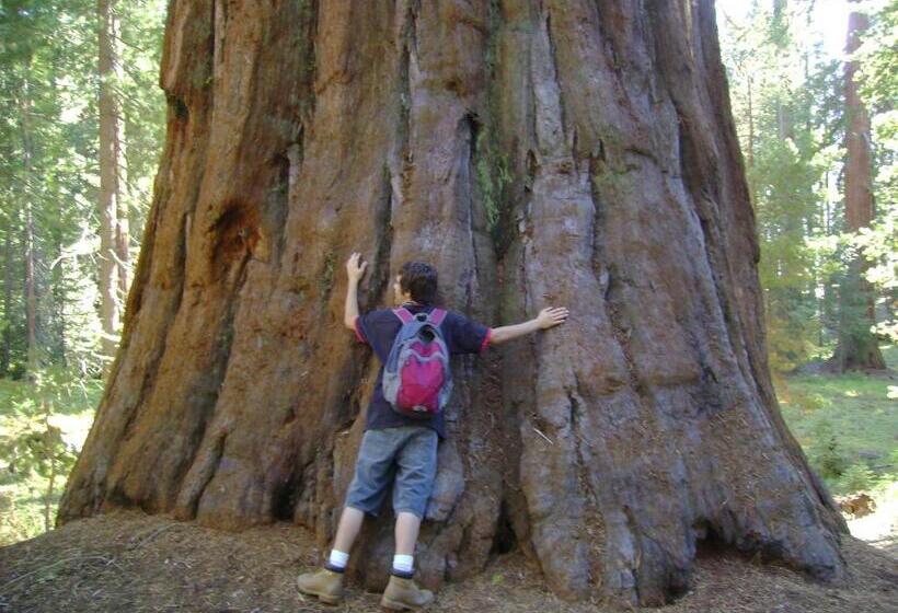 모텔 5th Street Inn