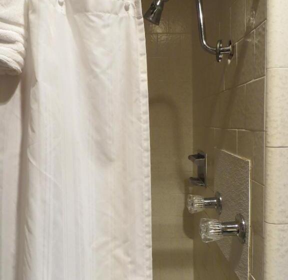 汽车旅馆  Alamo Inn