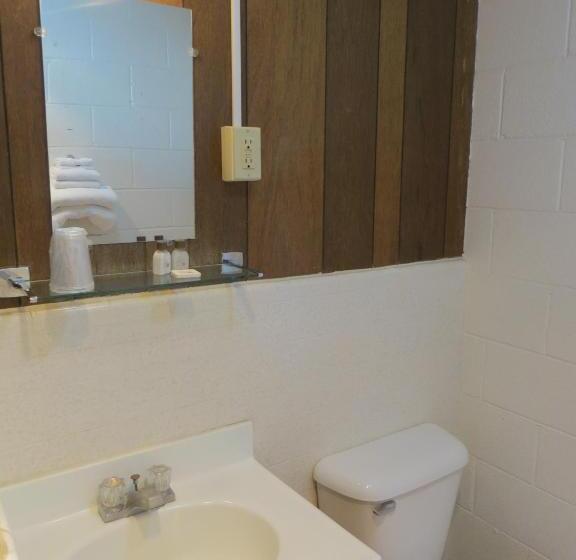 汽车旅馆  Alamo Inn