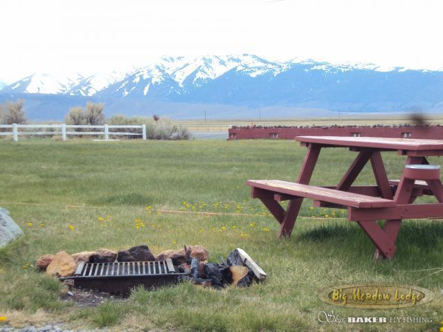 汽车旅馆  Big Meadow Lodge