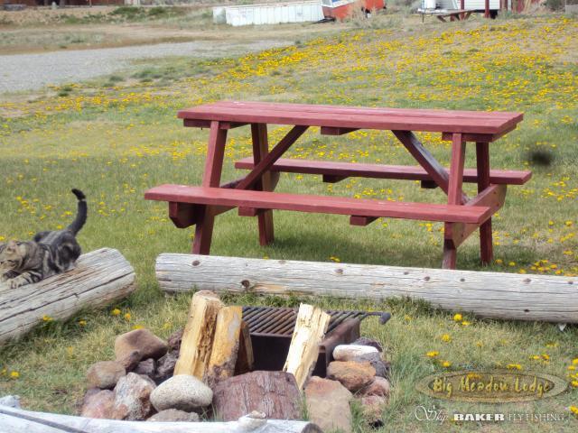 汽车旅馆  Big Meadow Lodge