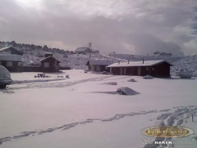 مُتل Big Meadow Lodge