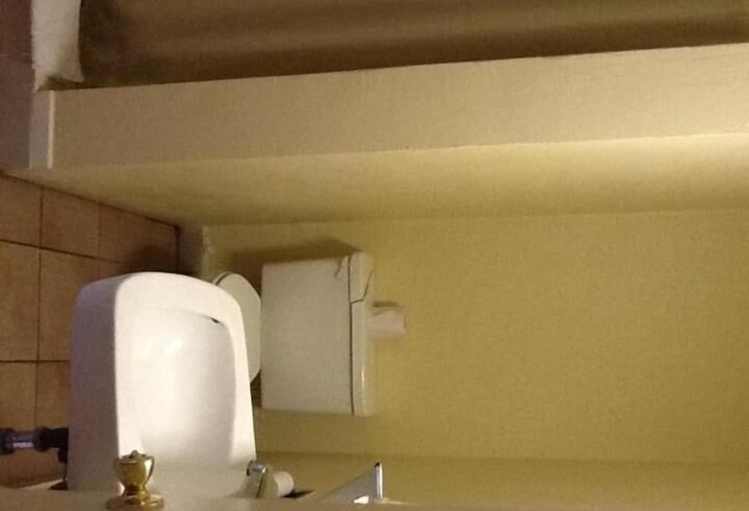 Motel Snowy River Inn