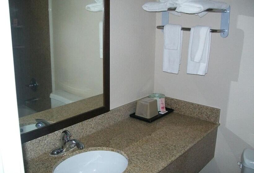 汽车旅馆  The Surrey Inn