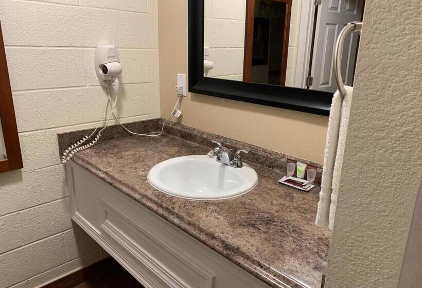 モーテル Townhouse Inn & Suites