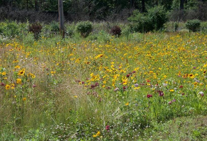 Sara Glen Motel   Saratoga Springs Glens Falls