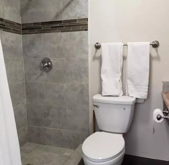 Hotelli Classic Inn And Suites
