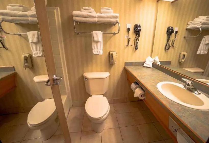 ホテル Surestay Plus By Best Western Enterprise